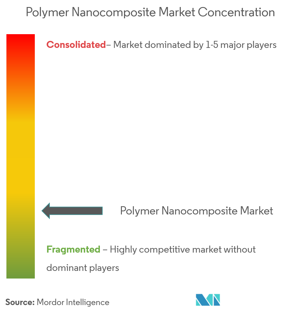 Polymer Nanocomposite Market Concentration